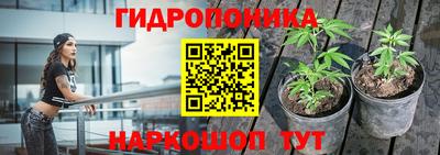 круглые Канаш