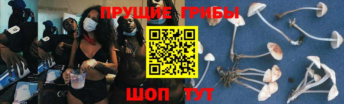 Галлюциногенные грибы мицелий  Вход с VPN  Выкса 